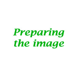 M&A advisory Preparing image-250